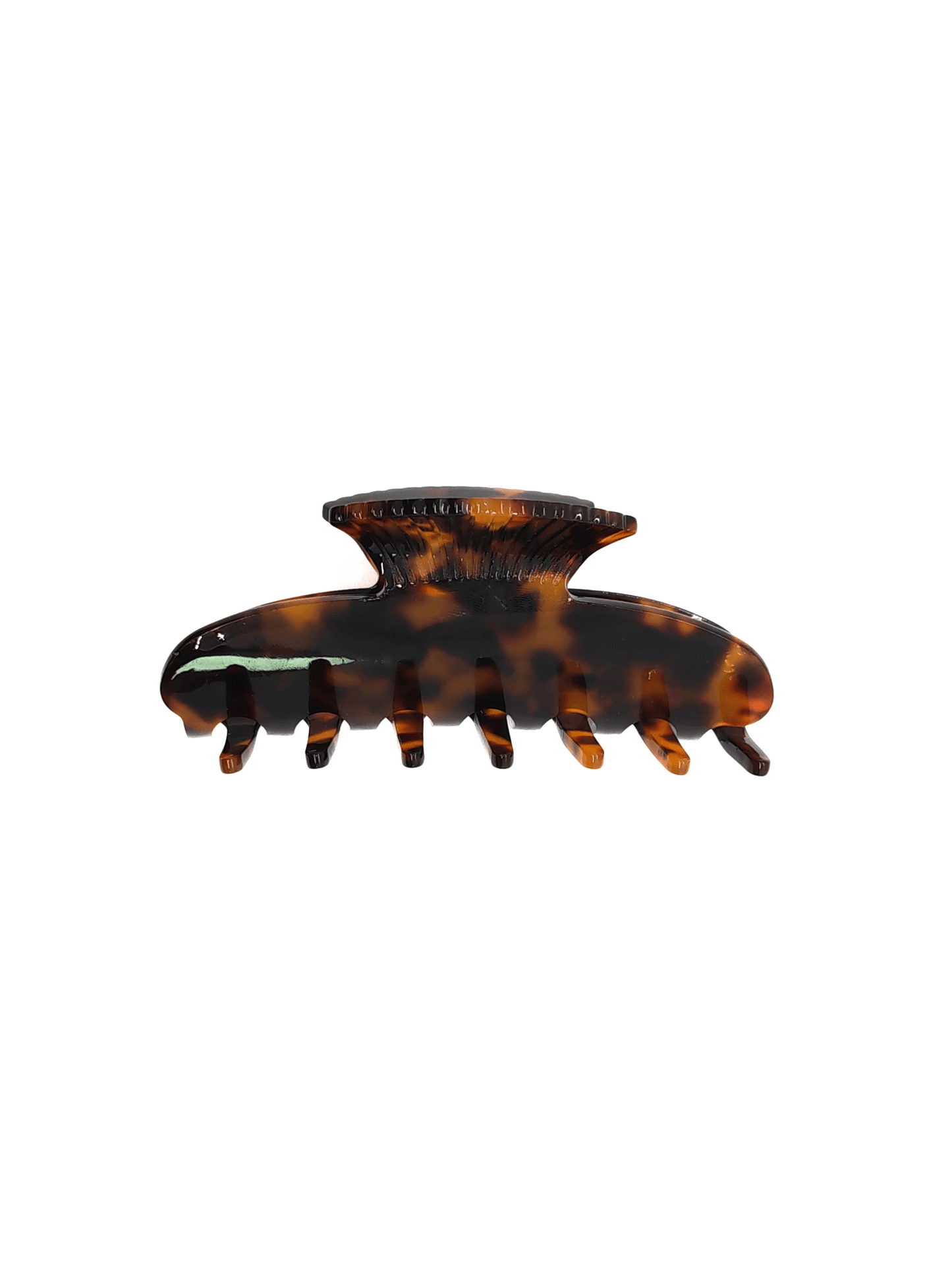 Elegant Seashell Acetate Hair Claw Clip - cllovestudio