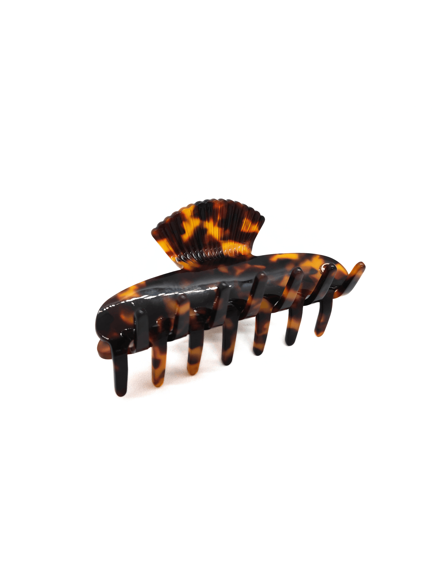 Elegant Seashell Acetate Hair Claw Clip - cllovestudio