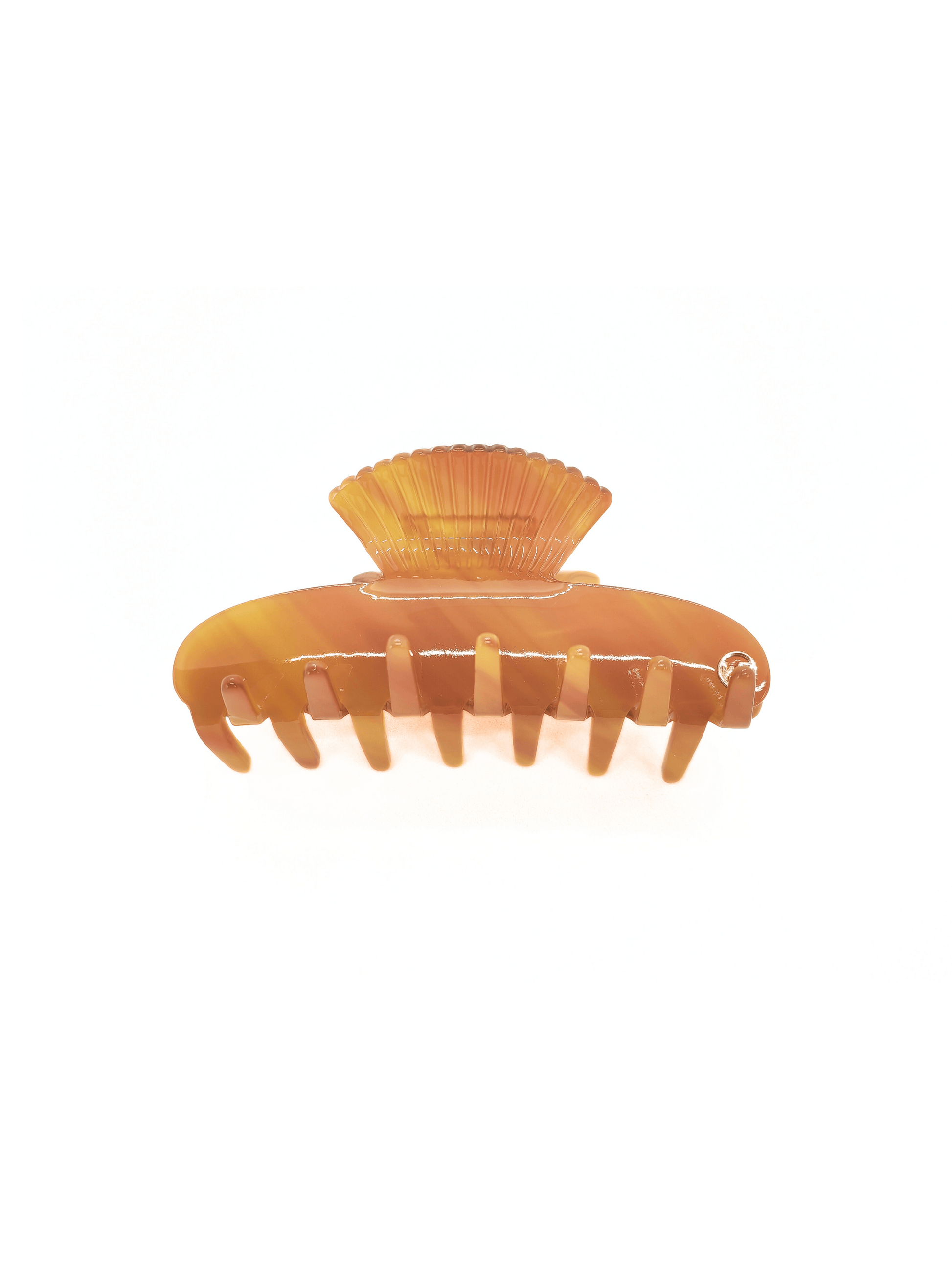 Amber Shell Hair Claw Clip - cllovestudio