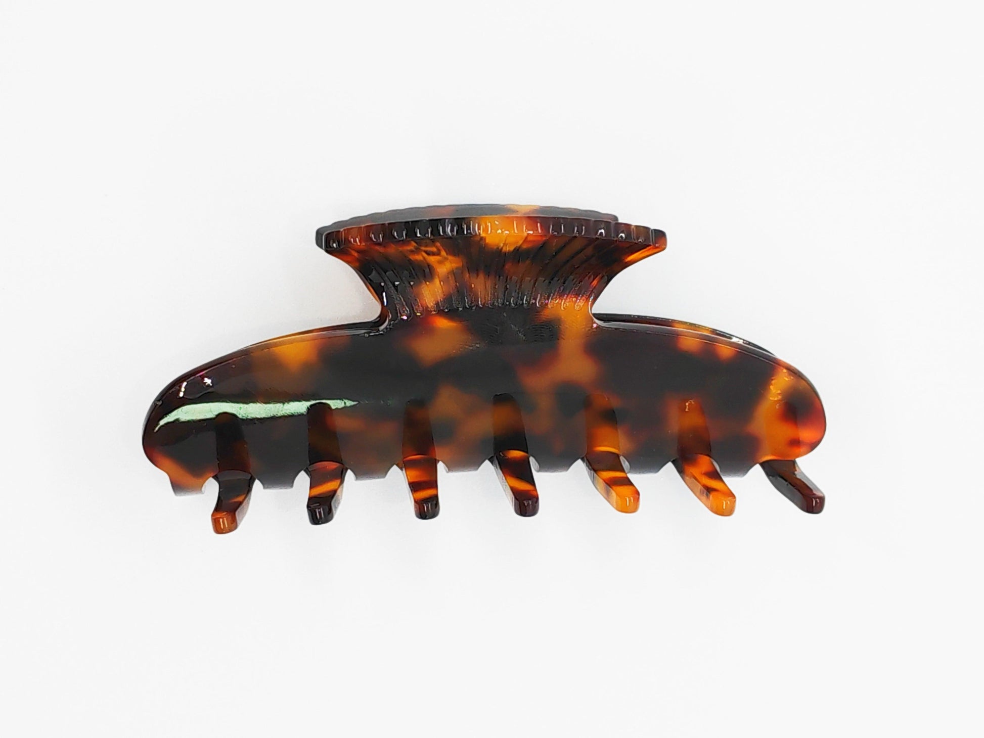 Elegant Seashell Acetate Hair Claw Clip - cllovestudio